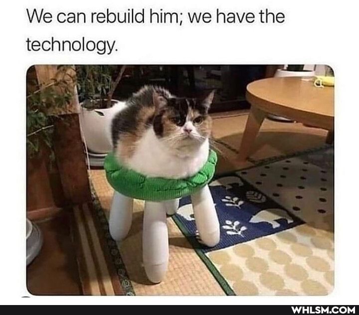 We can rebuild him; we have the technology.