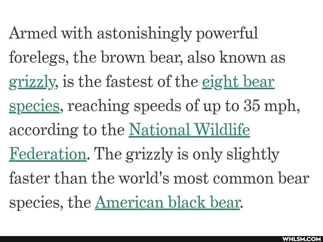 Armed with astonishingly powerful forelegs, the brown bear, also known as grizzly, is the fastest of the eight bear species, reaching speeds of up to 35 mph, according to the National Wildlife
Federation. The grizzly is only slightly
faster than the world's most common bear species, the American black bear.