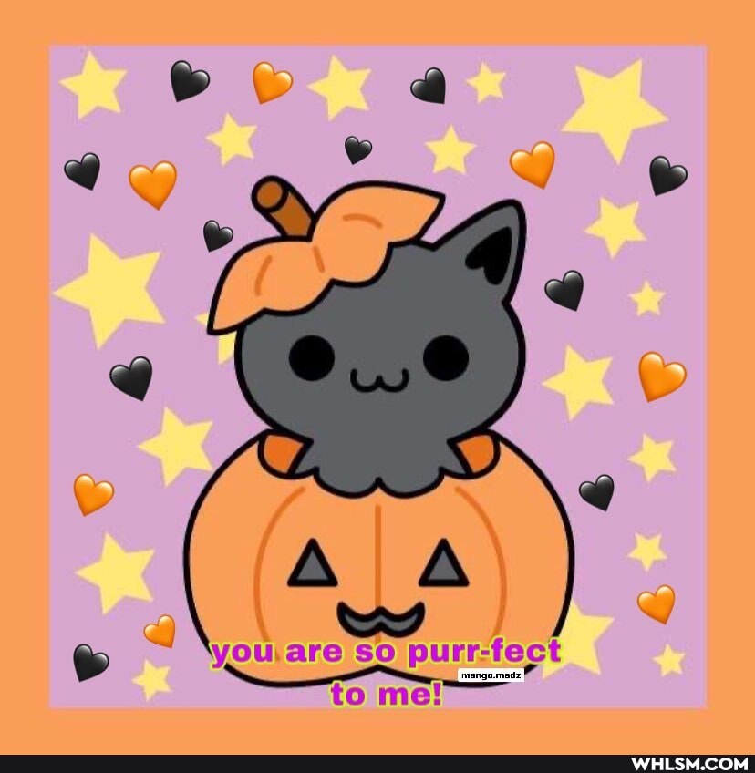 AA
~ Ayou are so purr- 'fect
to me!