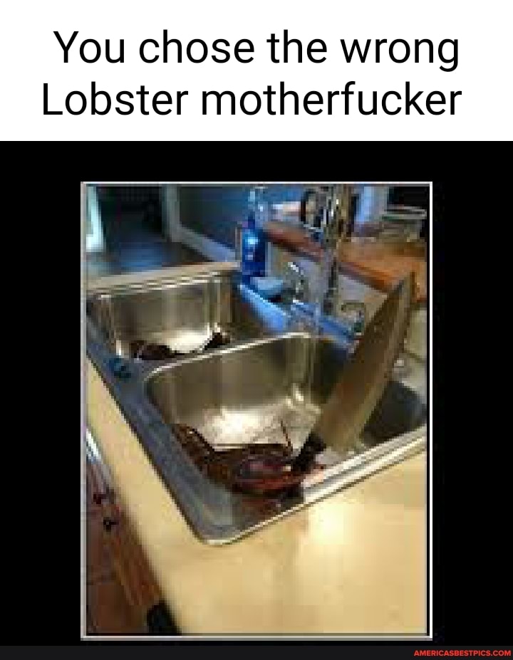 You chose the wrong
Lobster motherfucker