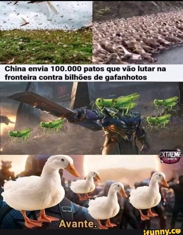 China envia 100.000 patos que vão lutar na fronteira contra bilhões de gafanhotos
Avante.