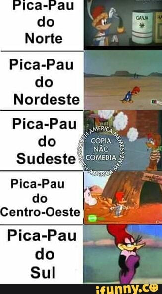 Pica-Pau
do
Nordeste
Pica-Pau
do
Centro-Oeste
Pica-Pau
do
Sul