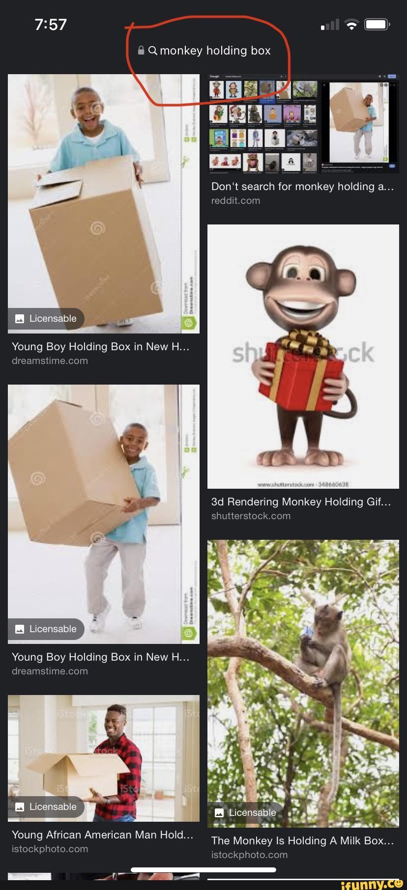  monkey holding box Don
