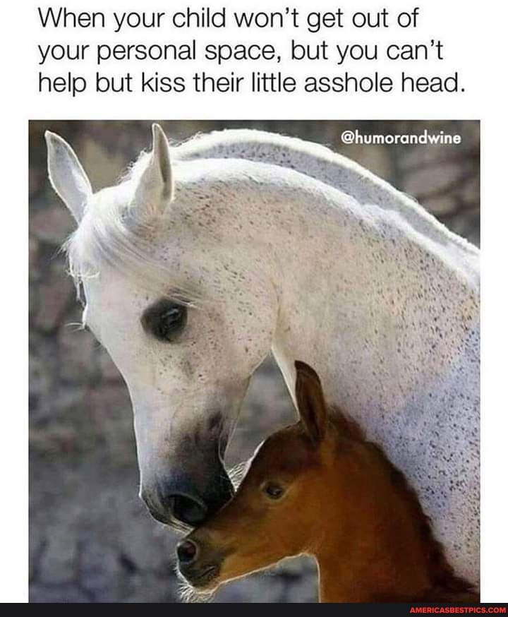 When your child won't get out of your personal space, but you can't help but kiss their little asshole head.
@humorandwine