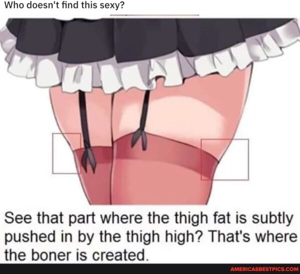 Who doesn't find this sexy?
See that part where the thigh fat is subtly pushed in by the thigh high? That's where the boner is created.