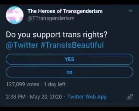 The Heroes of Transgenderism @TTransgenderism Do you support trans ...
