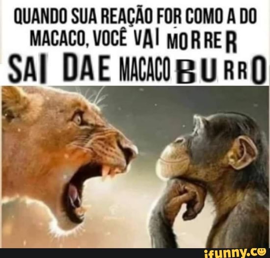 QUANDO SUA REAÇÃO FOR COMO A DO MACACO, VOCÊ VAI Mg R RE R
SAI DAE U RRQ