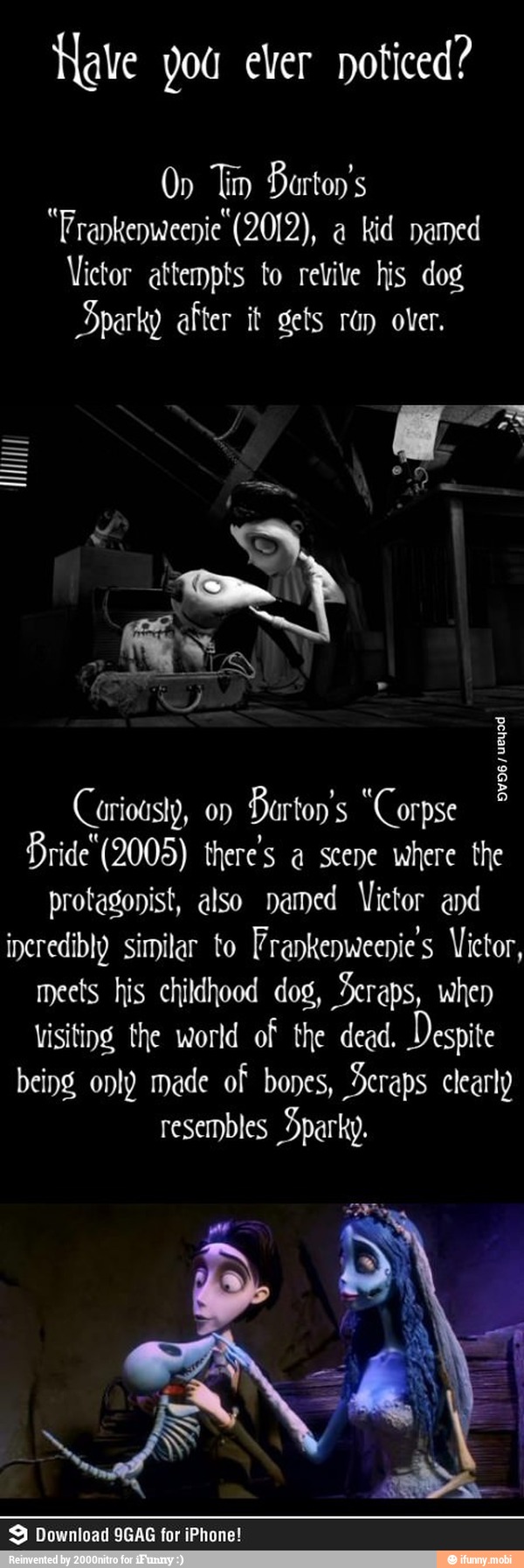 Have you ever noticed?
On Tip Barton's
"Prankenwcenie (2012), a Kid named
Sparky after it gets ran over.
Carioasly, "Corpse
Bride (2005) there's a scene where the
protagonist, also named Victor and
incredibly similar to Frankenweenie's Victor,
meets his childhood dog, Scraps, when
visiting. the world of the dead. Despite