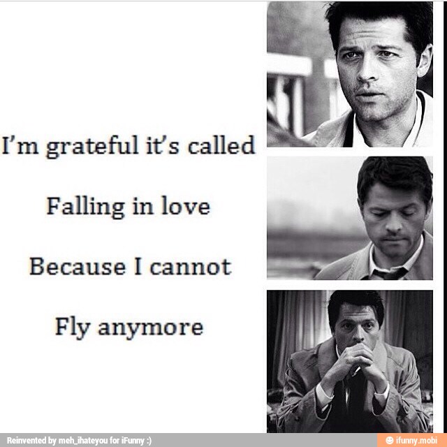I'm grateful it's called
Falling in love
Because I cannot
Fly anymore