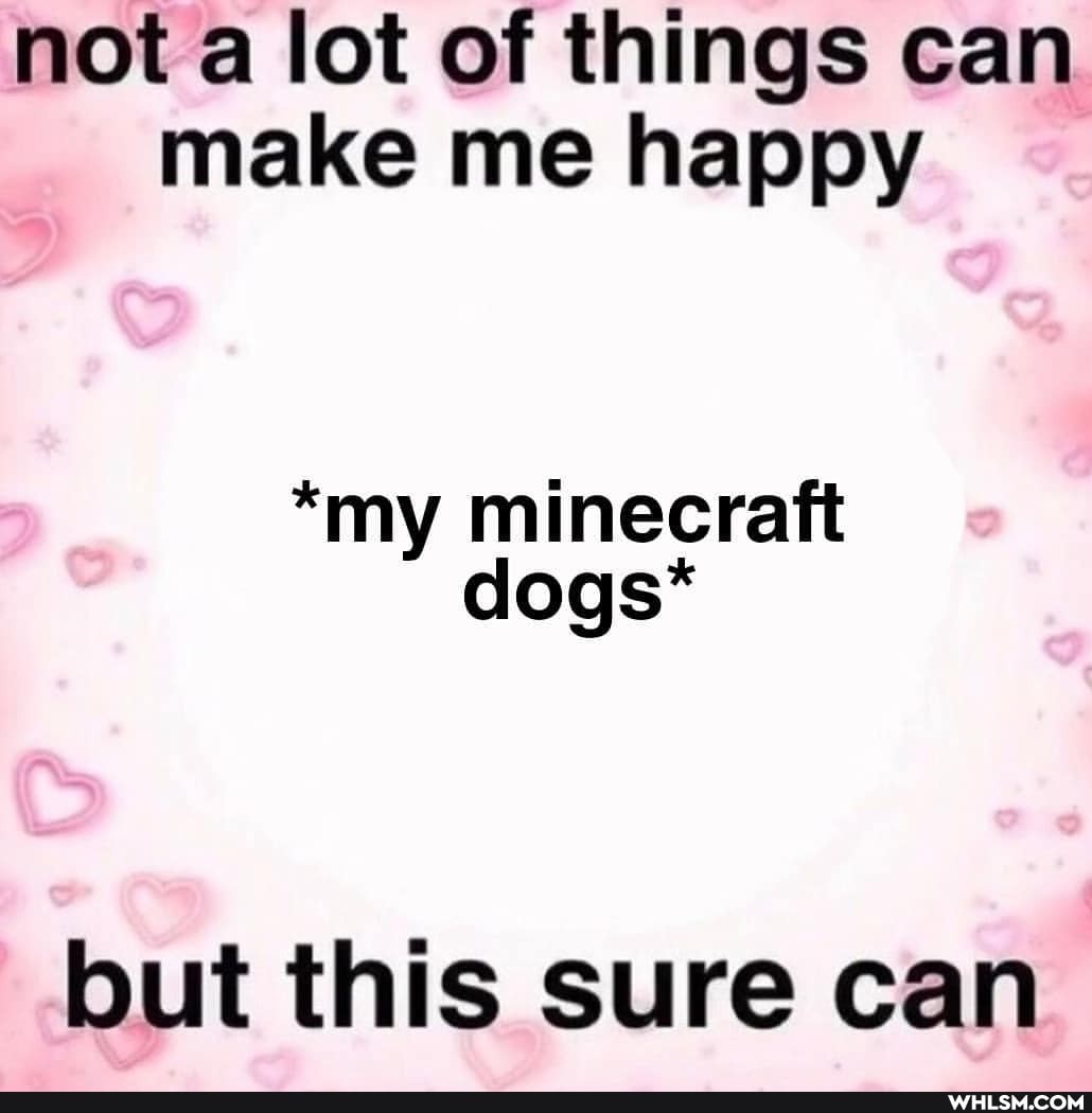 not a lot of things can make me happy
*my minecraft dogs*
but this sure can
