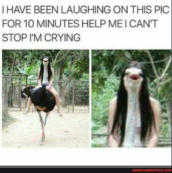 I HAVE BEEN LAUGHING ON THIS PIC FOR 10 MINUTES HELP ME I CAN'T STOP I'M CRYING