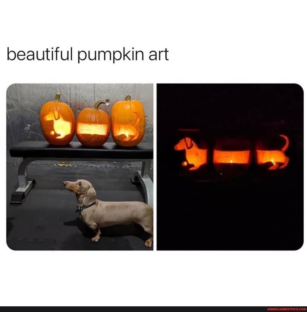 beautiful pumpkin art
AN
