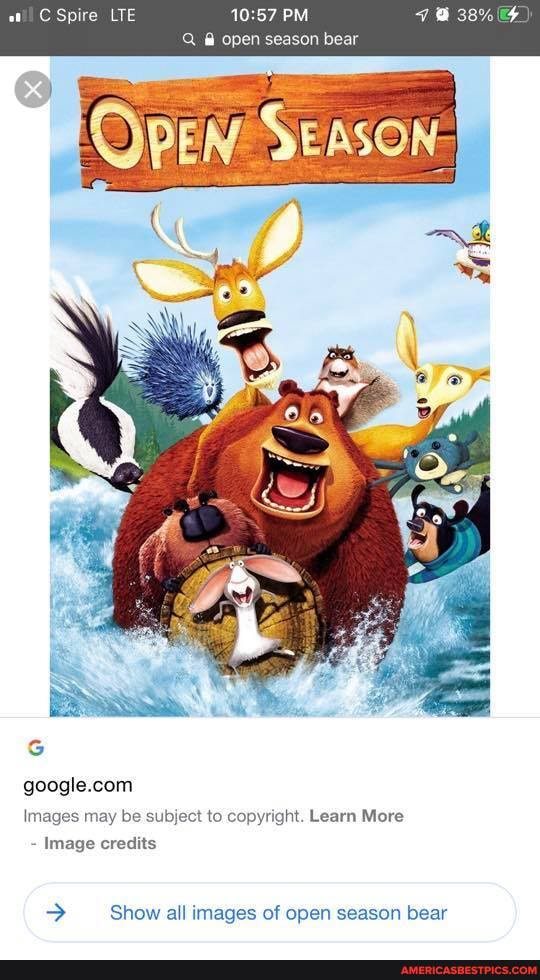 C Spire LTE
57 PM
open season bear
google.con
Images may be subject to copyright. Learn More
Image credits
> Show all images of open season bear