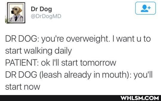 Dr Dog en
DR DOG: you're overweight. I want u to start walking daily
PATIENT: ok I'll start tomorrow
DR DOG (leash already in mouth): you'll etart now
