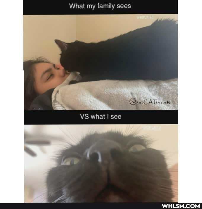 I What my family sees
VS what I see