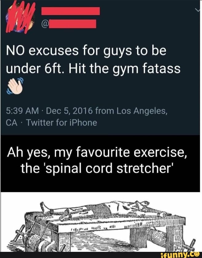 NO excuses for guys to be under Hit the gym fatass
AM Dec 5, 2016 from Los Angeles,
CA Twitter for iPhone
Ah yes, my favourite exercise, the 'spinal cord stretcher'