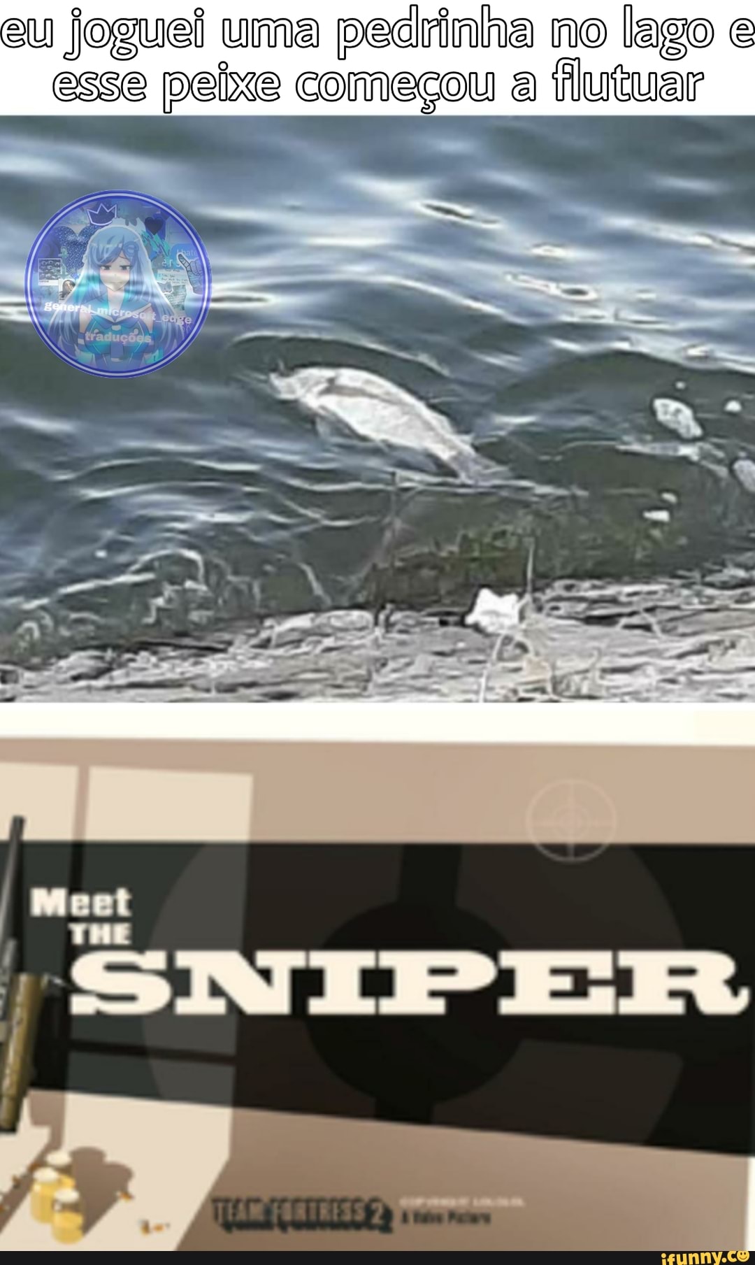 eu joguei uma pedrinha no lago e
esse peixe começou a flutuar