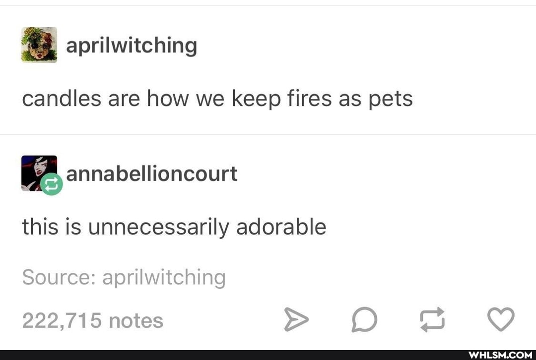 aprilwitching
candles are how we keep fires as pets
annabellioncourt
this is unnecessarily adorable
Source: aprilwitching
222,715 notes > DD
tl