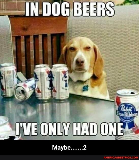 IN BEERS
I'VE ONLY HAD ONE
Maybe....... 2 - Maybe.......2