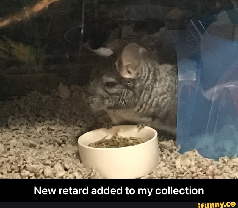 New retard added to my collection - New retard added to my collection