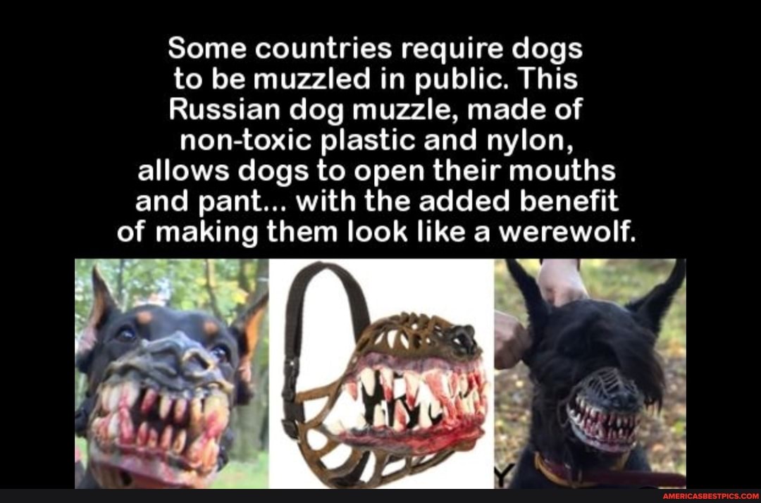 russian dog muzzle
