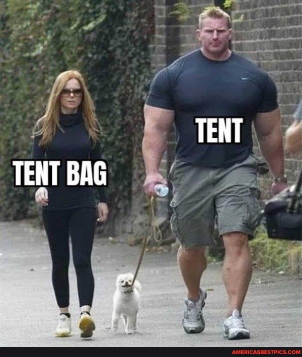 TENT TENT BAG
AR