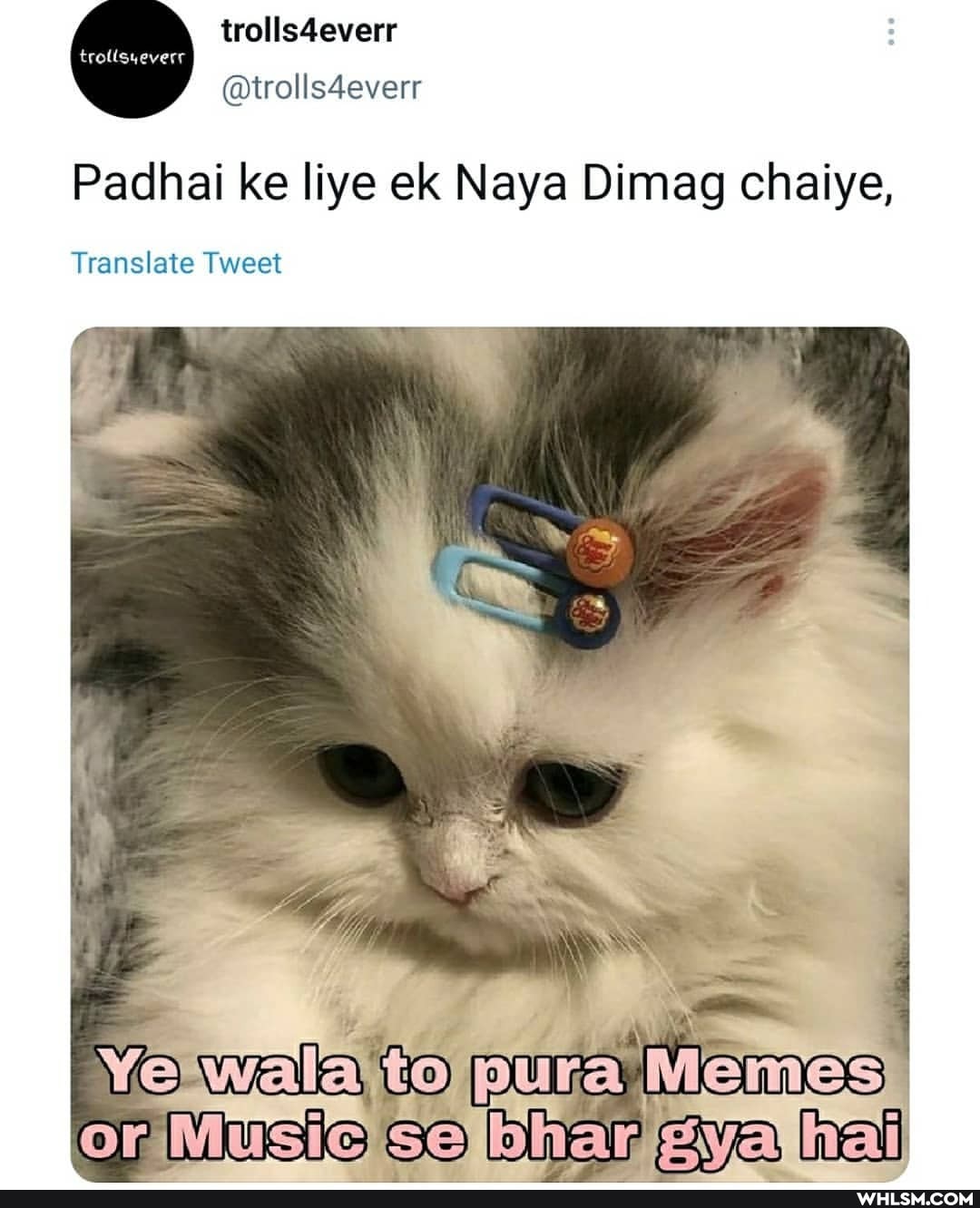 trolls4everr
@trolls4everr
Padhai ke liye ek Naya Dimag chaiye,
Translate Tweet