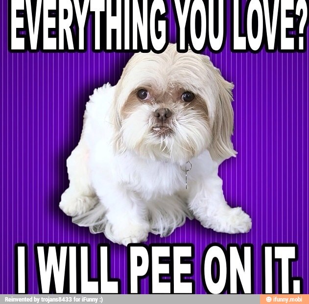 WILL PEE ON IT