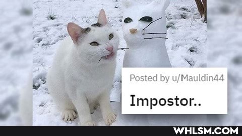 Posted by
Impostor..