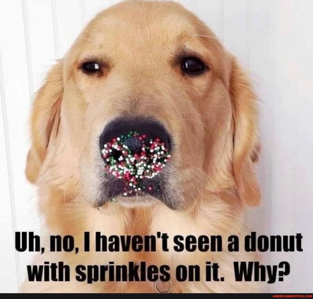 Uh, no, I haven't seen a donut with snrinkles on it Why?