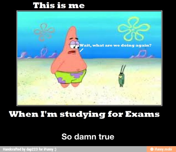 This is me
When I'm studying for Exams
So damn true - So damn true