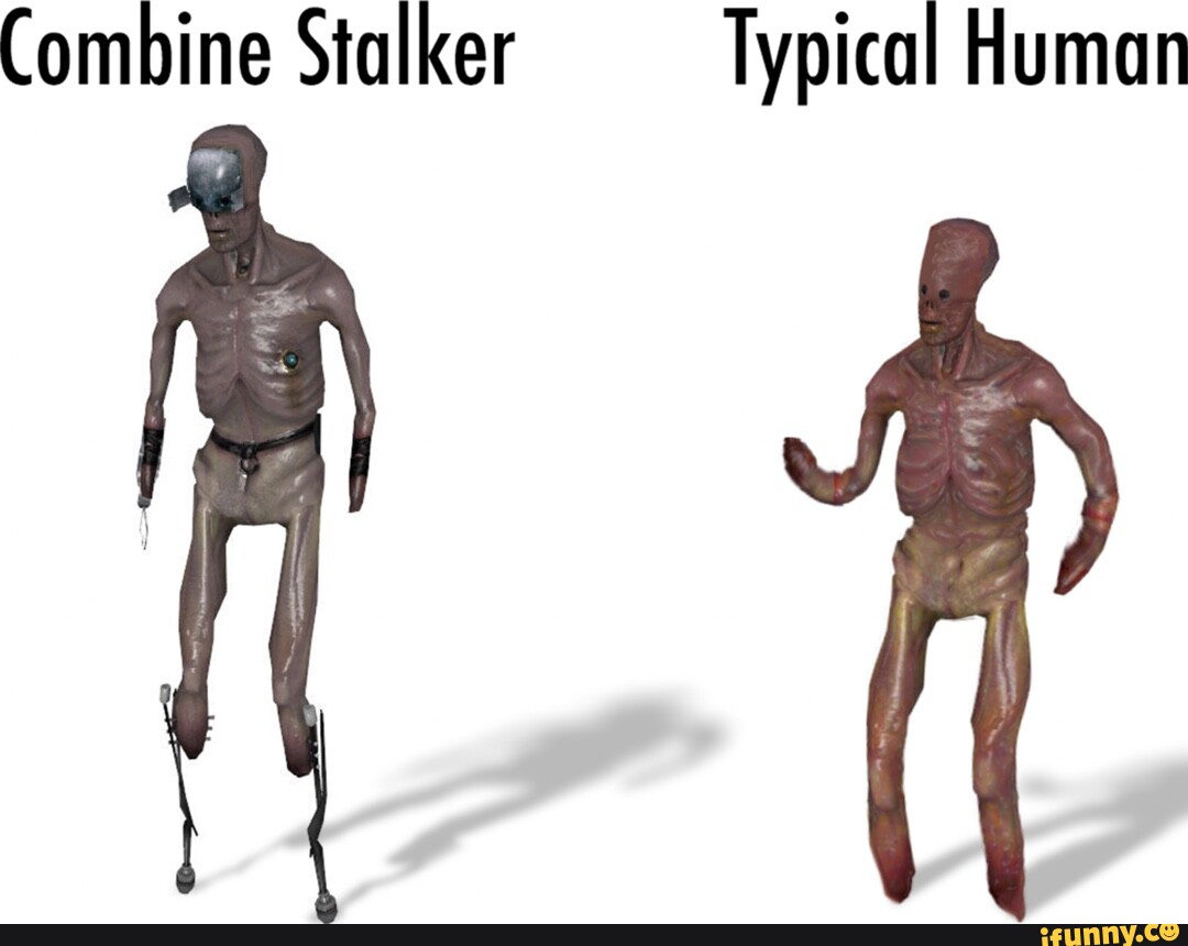 Combine Stalker Typical Human Ifunny 1774