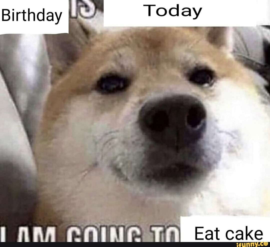 Birthday I Today Eat cake iFunny
