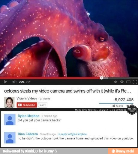'octopus steals my video camera and swims off withit (whle its Re.
Victor's Videos