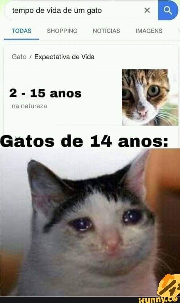 BD
TODAS SHOPPING NOTÍCIAS IMAGENS
Gato Expectativa de Vida
Gatos de 14 anos:
