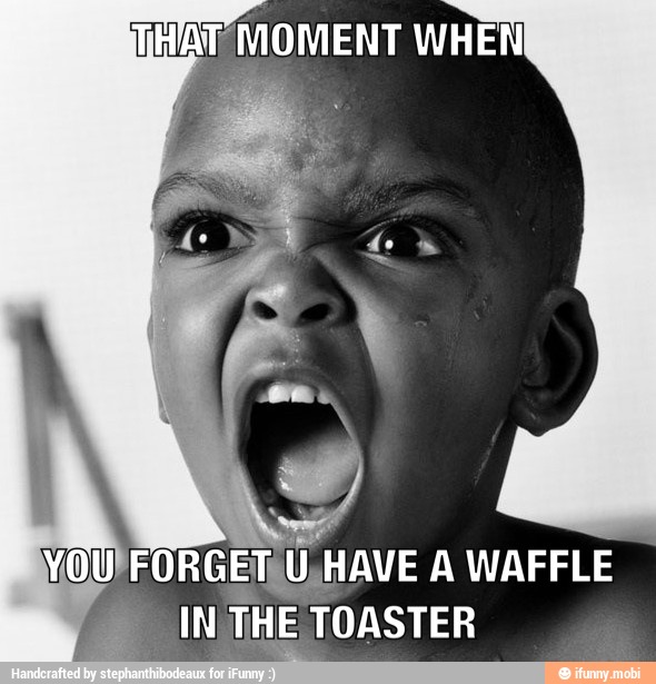 THAT MOMENT WHEN
YOU
FORGEIU, HAVE A WAFFLE
THE
HE
TOASTER