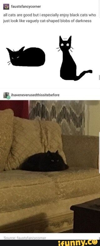 all cats are good but i especially enjoy black cats who just look like vaguely cat-shaped blobs of darknes: