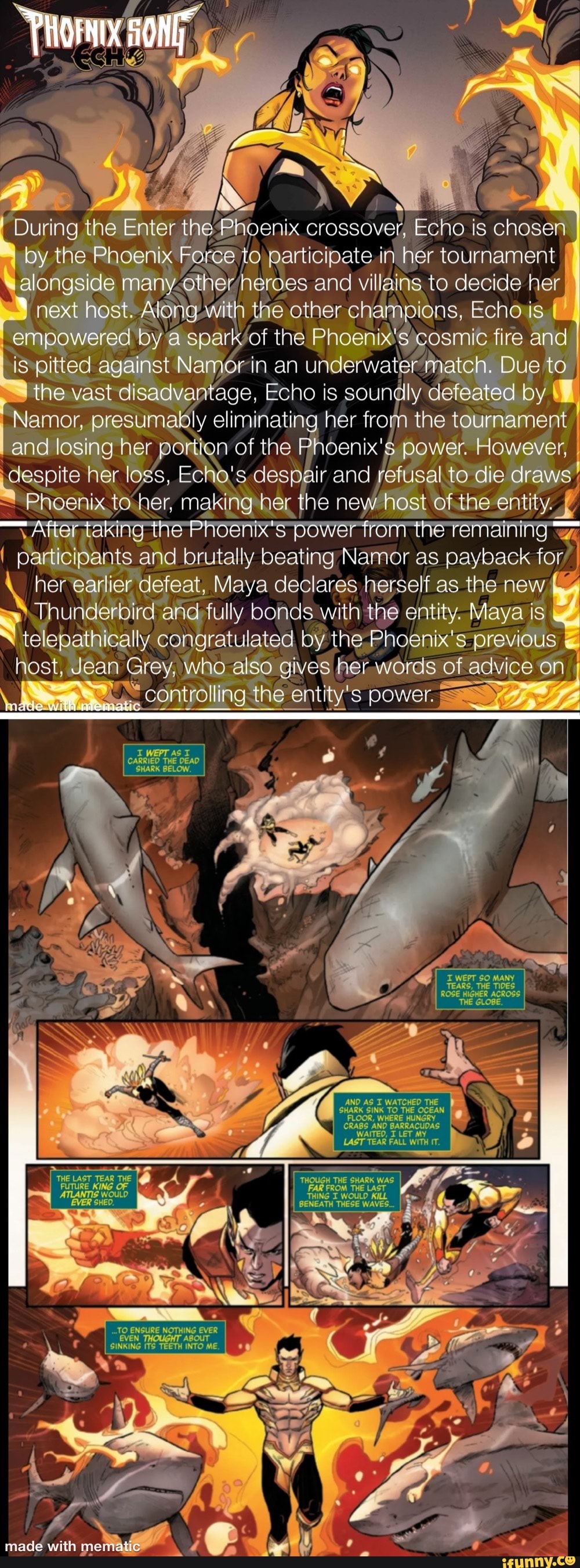 during-the-enter-the-phoenix-crossover-echo-is-chosen-by-the-phoenix