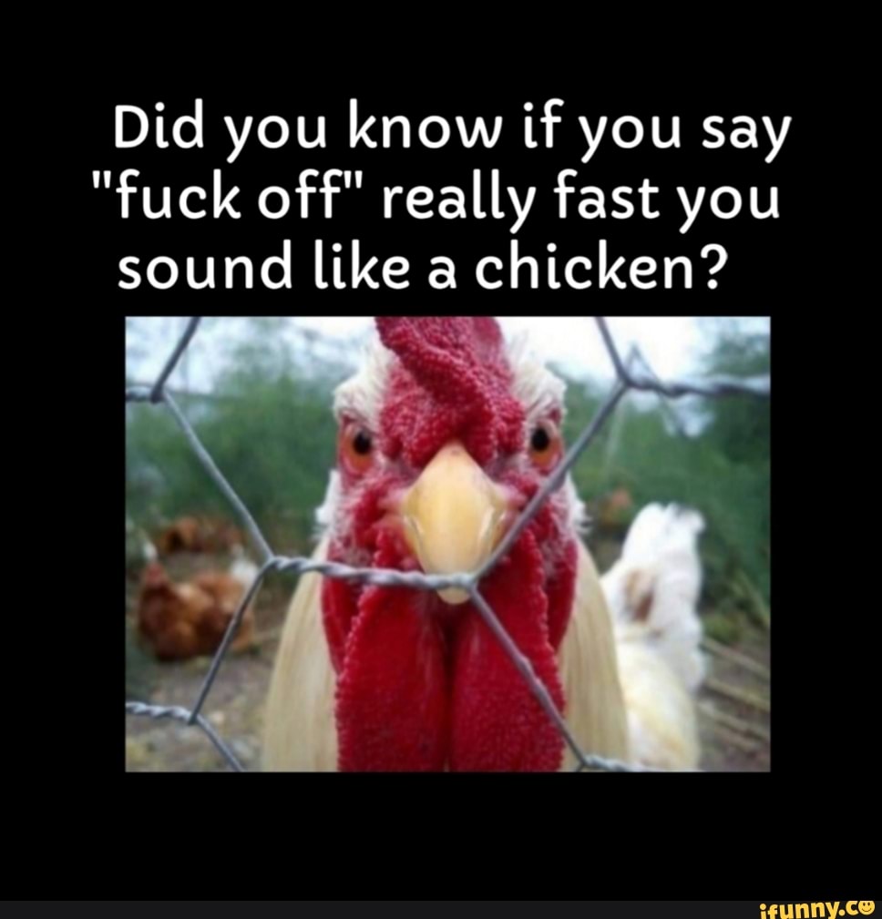 Did you know if you say "fuck off" really fast you sound like a chicken