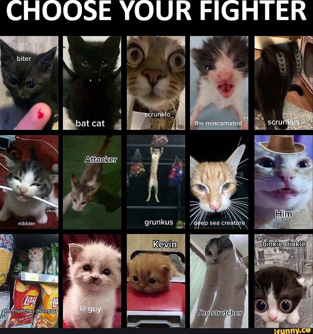 CHOOSE YOUR FIGHTER I bite serunklo bat cat Attacker qrunkus Kevin lil guy _ the eeincarmeted