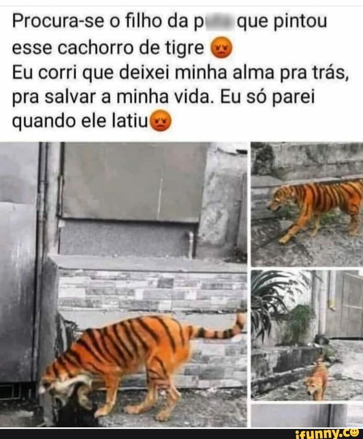 Procura-se o filho da pI que pintou esse cachorro de tigre
Eu corri que deixei minha alma pra trás, pra salvar a minha vida. Eu só parei quando ele latiuB