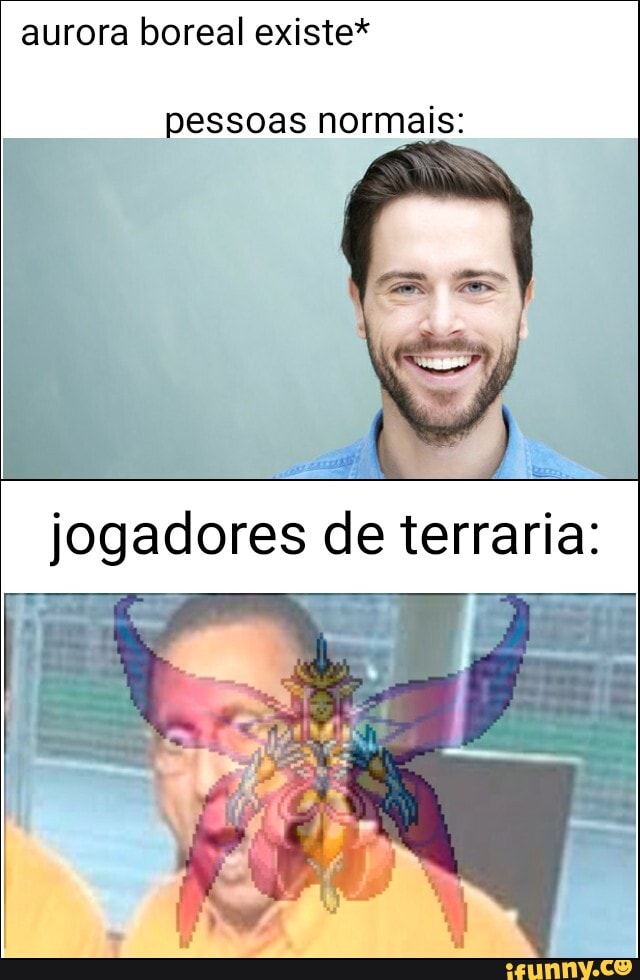 aurora boreal existe*
pessoas normais:
jogadores de terraria: