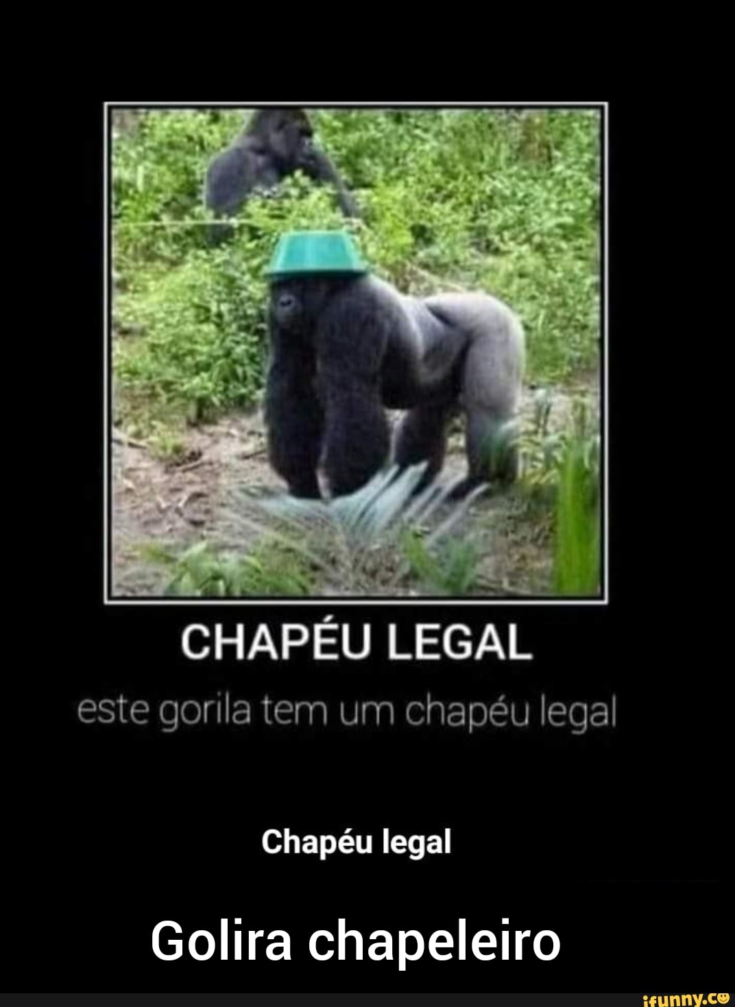 CHAPÉU LEGAL
este gorila tem um chapéu legal
Chapéu legal
Golira chapeleiro