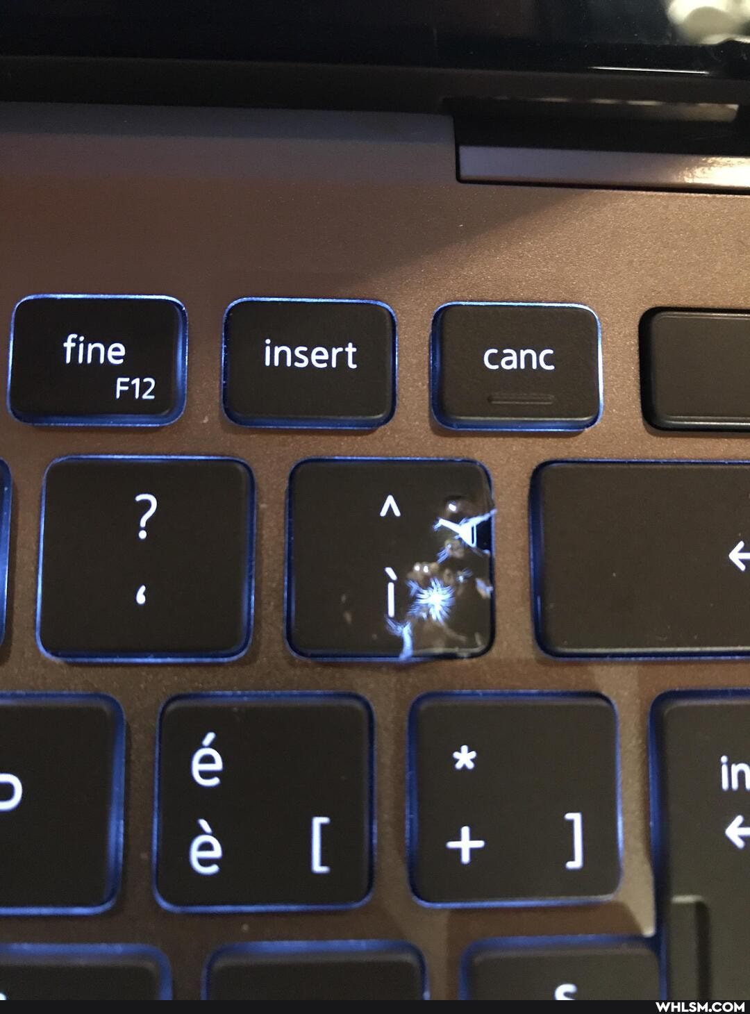 fine. insert canc
+ *
SS