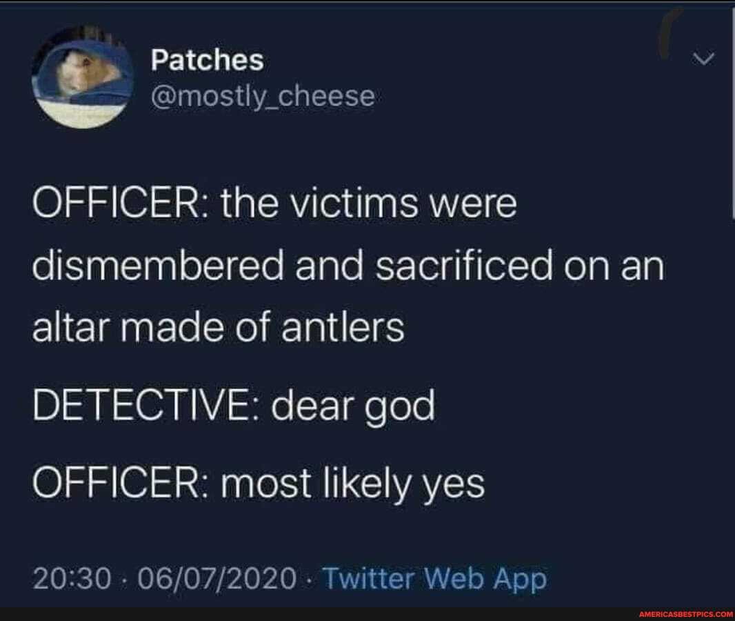 Patches
@mostly_cheese
OFFICER: the victims were
dismembered and sacrificed on an altar made of antlers
DETECTIVE: dear god
OFFICER: most likely yes
Twitier Web App