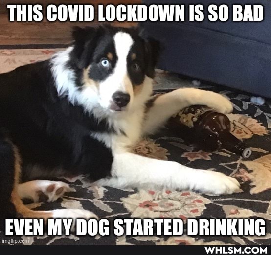 THIS COVID LOCKDOWN IS SO BAD
EVEN MY DOG STARTED DRINKING.