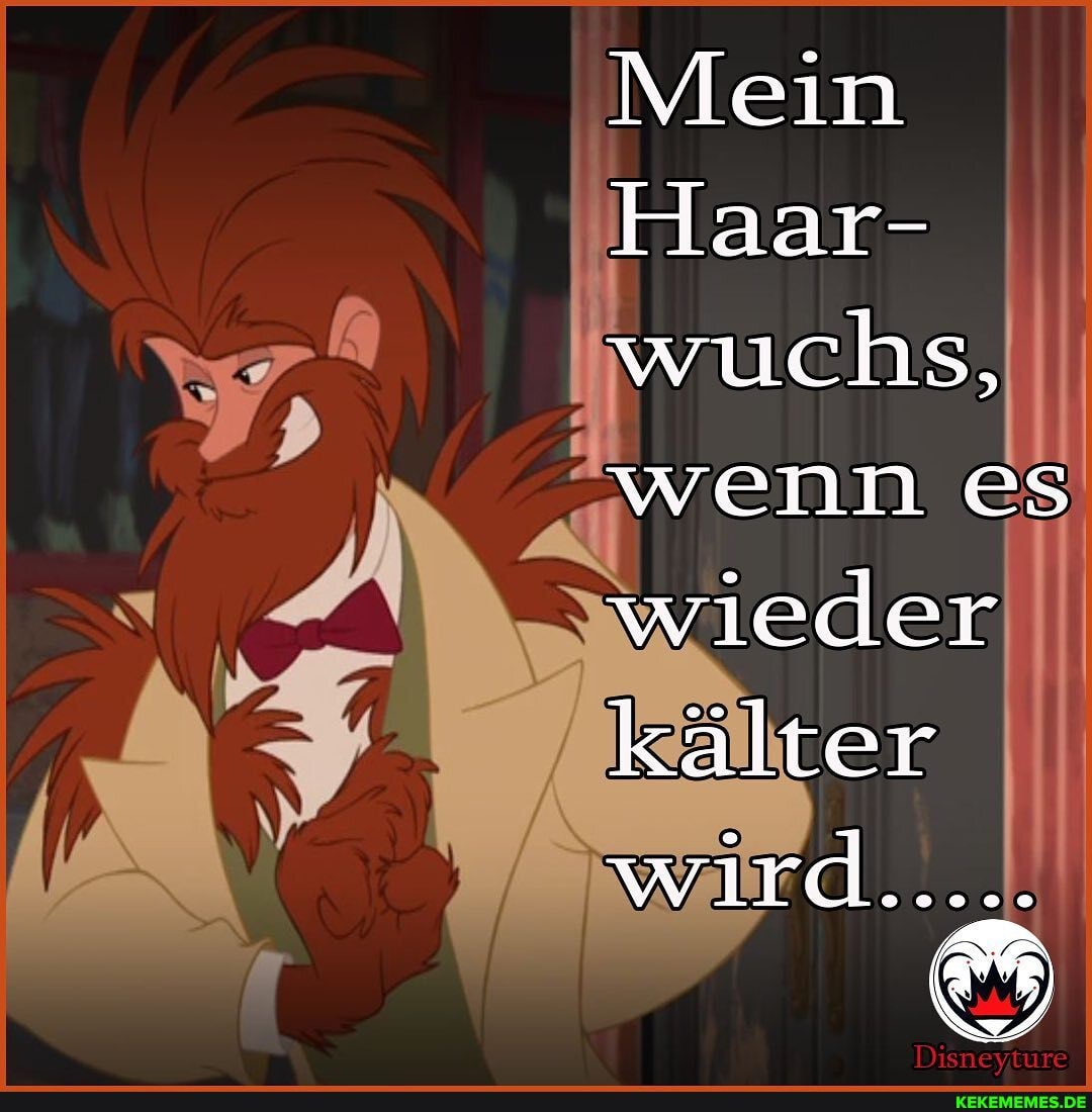Mein
Haar- wuchs, wenn es wieder kälter
