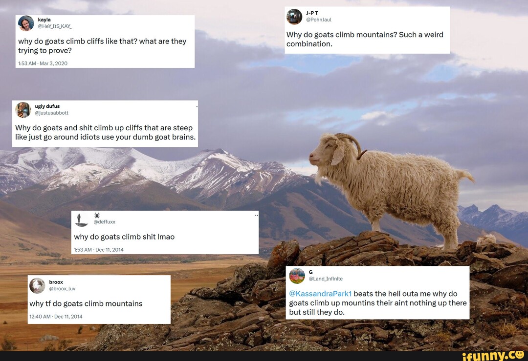 KAY, why do goats climb cliffs like that? what are they trying to prove