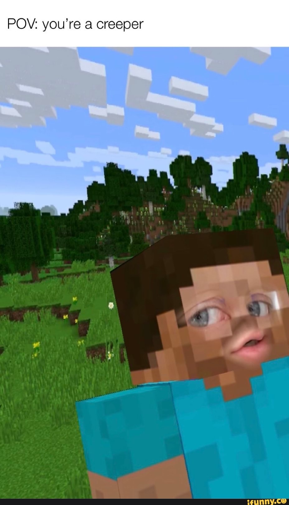 POV: you're creeper