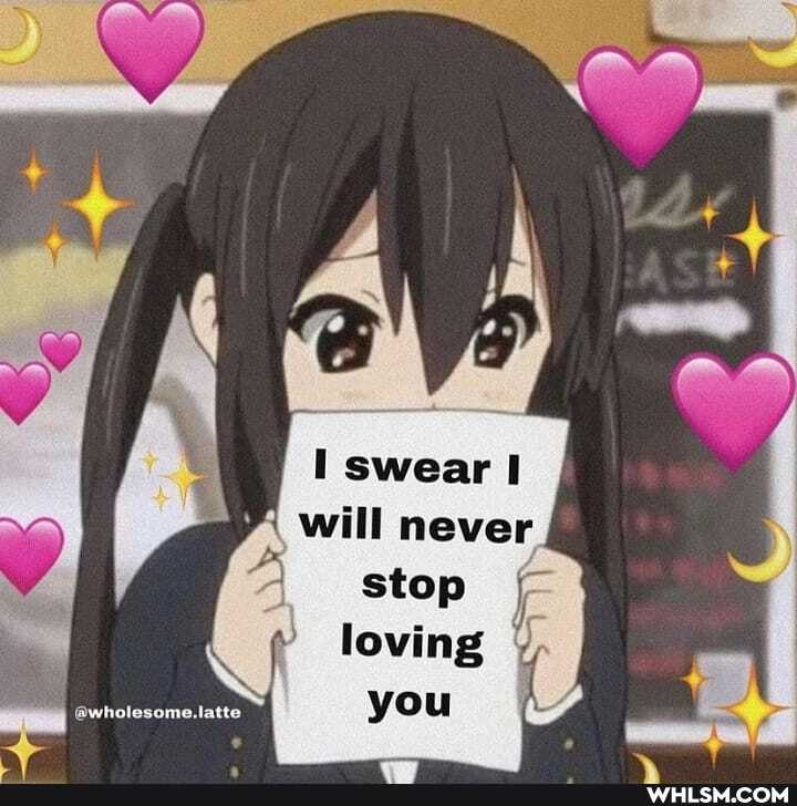 I swear I will never
stop loving